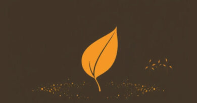 Everafter Falls Soot Grower