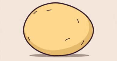 extra large russet potatoes