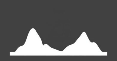 Founder of Zionism Movement