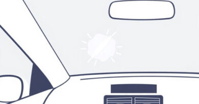 Get Rid of Moldy Smell in Car