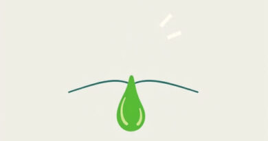 Green Discharge and Itching