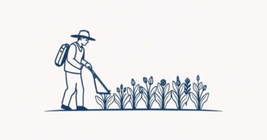 Growers of Woad in Europe Saw