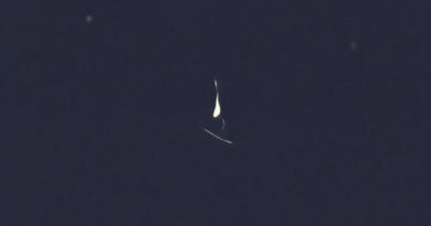 have dreamed or have dreamt