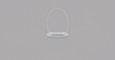 Hindustan Vitreous Toilet Seat