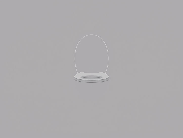 Hindustan Vitreous Toilet Seat