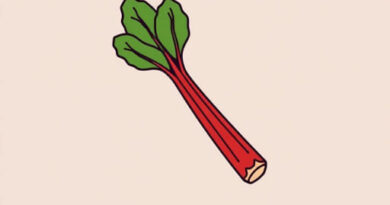 How Does Rhubarb Taste Like