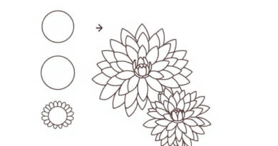 How to Draw a Chrysanthemum