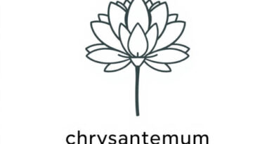 How to Pronounce Chrysanthemum