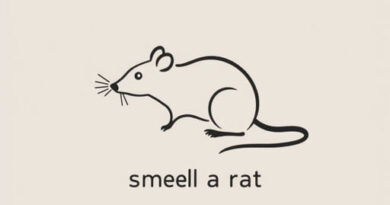 I Smell a Rat Idiom Meaning
