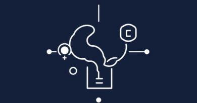 Intellect Transoceanic Pvt Ltd