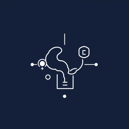 Intellect Transoceanic Pvt Ltd