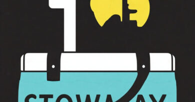 Is being a stowaway illegal