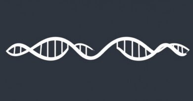 Jack Westin DNA Replication