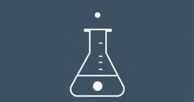 Jackdaw Hogwarts Legacy Puzzle