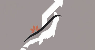 Japan Postwar Economic Miracle