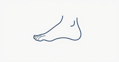 Joint Movement Plantar Flexion