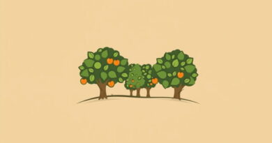 Jose Mercado Orchard Grower