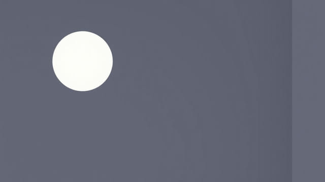 Kelly Ellard Josephine Bell