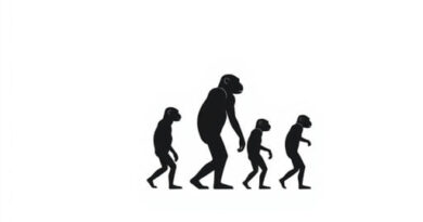 Legal definition of ecocide