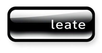 Make a Sentence Using Elude