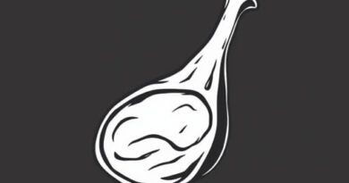 Meaty Haunch WoW War Within