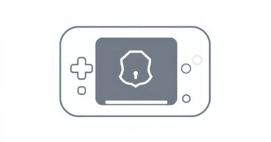 Nintendo Anti Piracy Screen