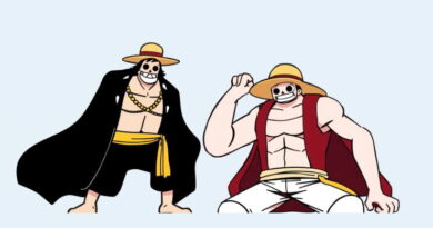 One Piece Crossover Episode
