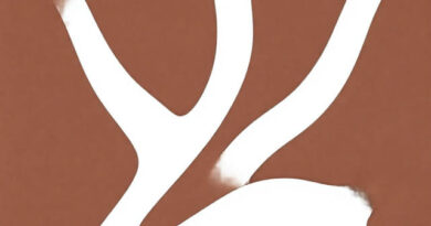 Oneshot Fading Memory Guide