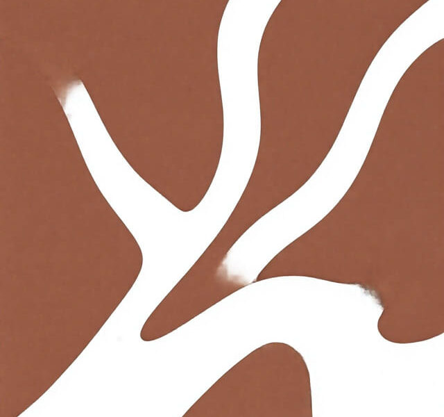 Oneshot Fading Memory Guide