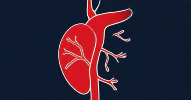 Origin of Testicular Artery