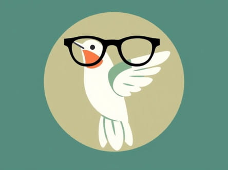 qvc-hummingbird-reading-glasses.jpg