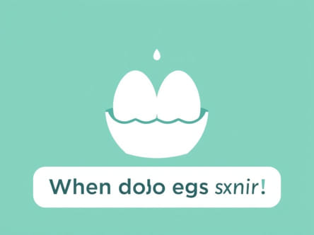 when-do-eggs-expire.jpg
