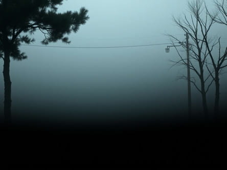 Choked By Pettiness And Lassitude