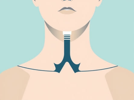 Deconstruct The Term Tracheotomy