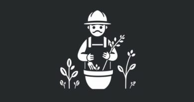 Definition Of Bathos In Literature