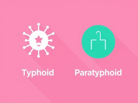 Difference Between Typhoid And Paratyphoid