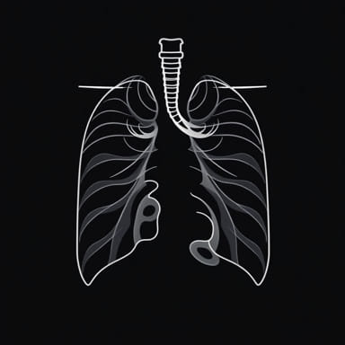 Diffuse Esophageal Spasm Radiology