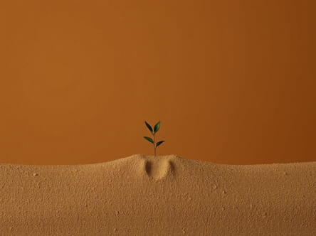 Foreign Soil Maxine Beneba Clarke