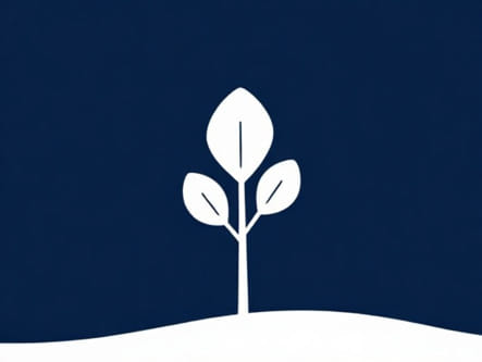 Frost Wedging Most Likely To Occur