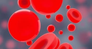 Giant Platelets And Leukocyte Inclusions