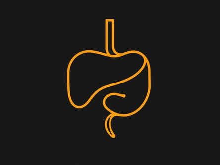 Hepatic Steatosis Hepatitis B And Jaundice