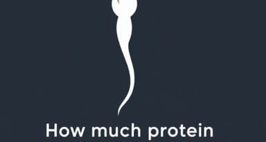 How Much Protein Does Sperm Contain