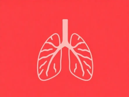 Is A Wheezy Chest A Chest Infection?