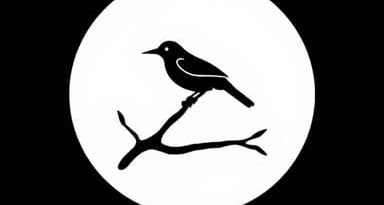 Is To Kill A Mockingbird A Movie?