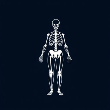Labs For Rheumatoid Arthritis