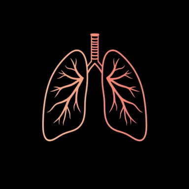 Lung And Bronchial Support