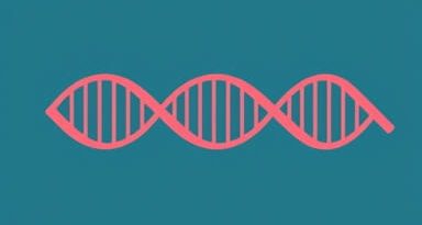 Nucleotides In Dna Replication