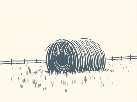 On The Country Hay In The Country