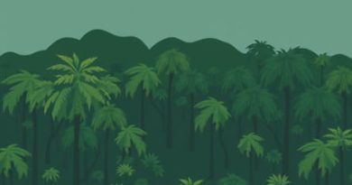 Other Name Of Tropical Deciduous Forest