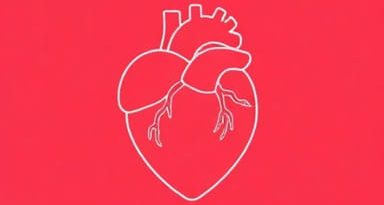 Questions On Rheumatic Heart Disease